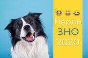 Тарас Шевченко був прекрасним мужчинкою: добірка перлів із ЗНО-2020