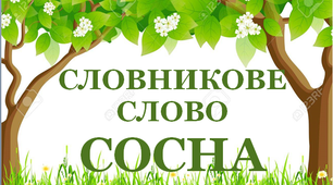 Дидактичний матеріал "Словник "Дерева. Сосна"