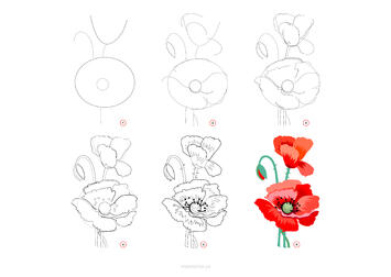 020034lw-cc0b-777x550.jpg
