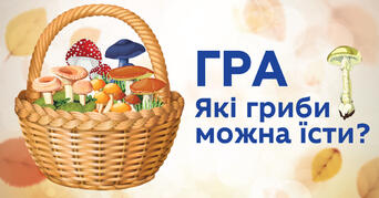 020034o4-b4f9-342x179.jpg