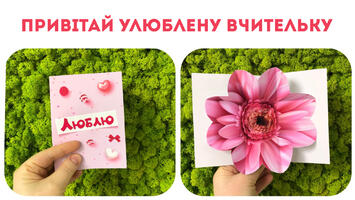 020034ql-3922-355x200.jpg