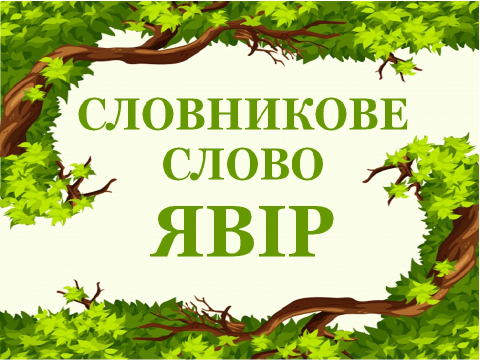 Дидактичний матеріал "Словник "Дерева. Явір"