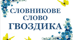 Дидактичний матеріал "Словник "Квіти. Гвоздика"