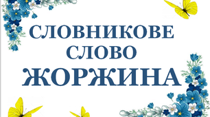 Дидактичний матеріал"Словник "Квіти. Жоржина"