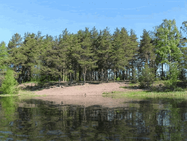 0200394w-9b6d-381x286.gif