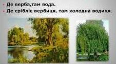 Ознайомлення дітей  з  "Легендою про Вербу"