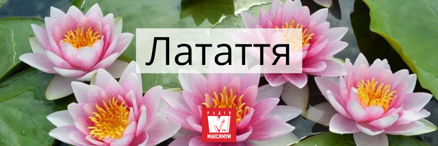 Говори красиво: 10 українських назв квітів, які милують око - 400897 Говори красиво: 10 українських назв квітів, які милують око - фото 400897