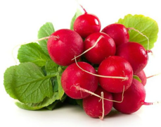 02003d26-982b-207x163.png