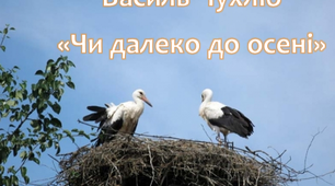 Василь Чухліб "Чи далеко до осені"