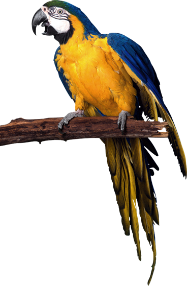 02003g9d-47a7.png