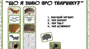 дидактична гра "Що я знаю про тваринку?"