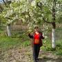 https://fs02.vseosvita.ua/02003gw9-c9a7-90x90.jpg