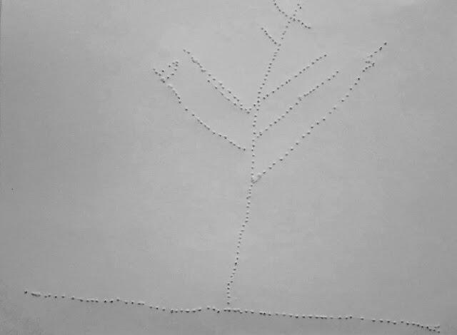 02003hoq-73f8-640x470.jpg