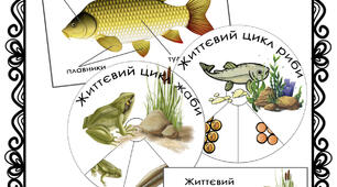 комплект "Річкові меканці" цикл життя