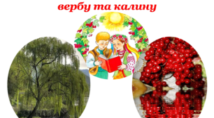 Серія "Скарбниця українського народу" Презентація. "Верба твій біль забрать зуміє, вона робити це - уміє"