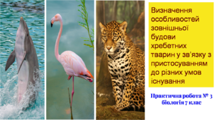 Презентація "Пристосування тварин", до практичної роботи уроку біології у 7 класі