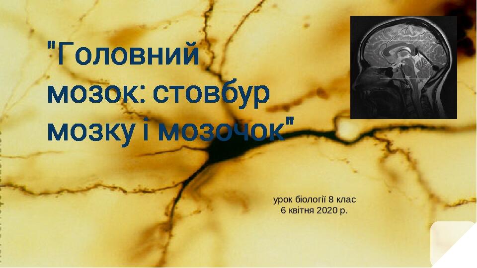 урок біології 8 клас 6 квітня 2020 р.