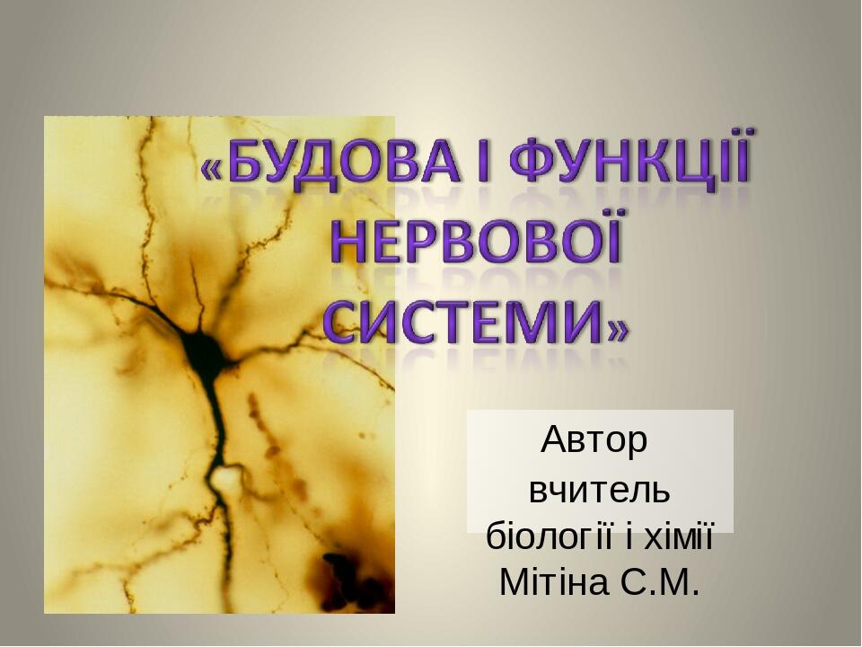 Автор вчитель біології і хімії Мітіна С.М.