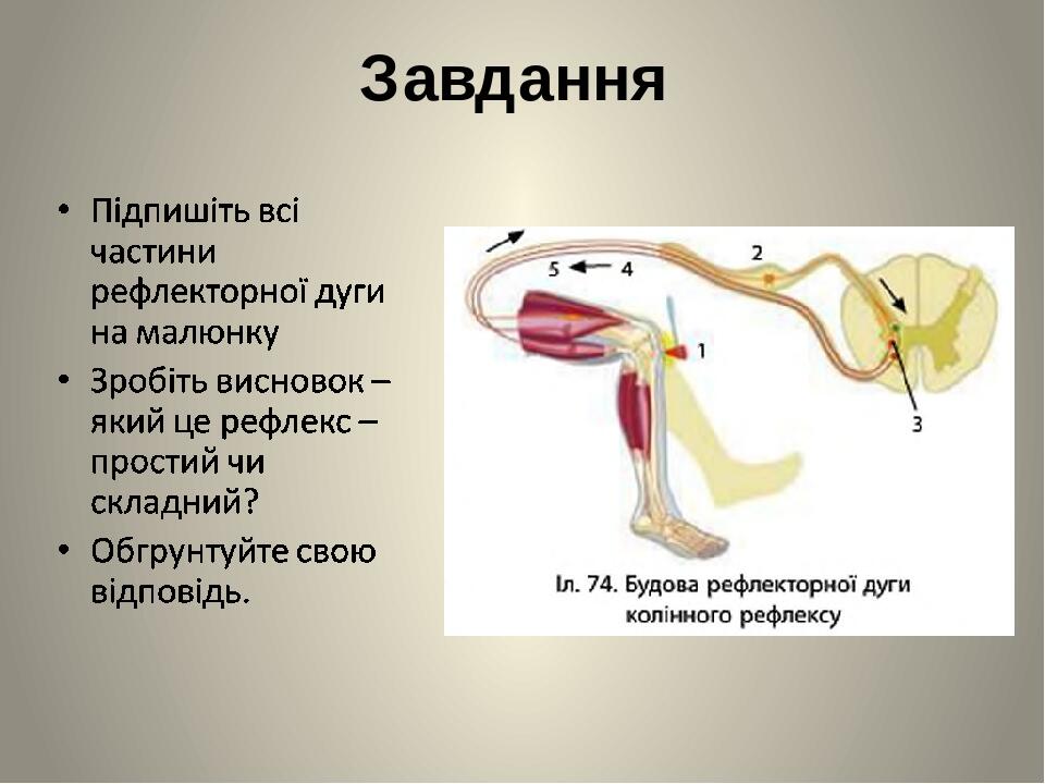 Завдання