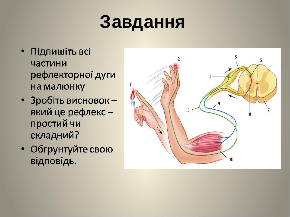 Завдання