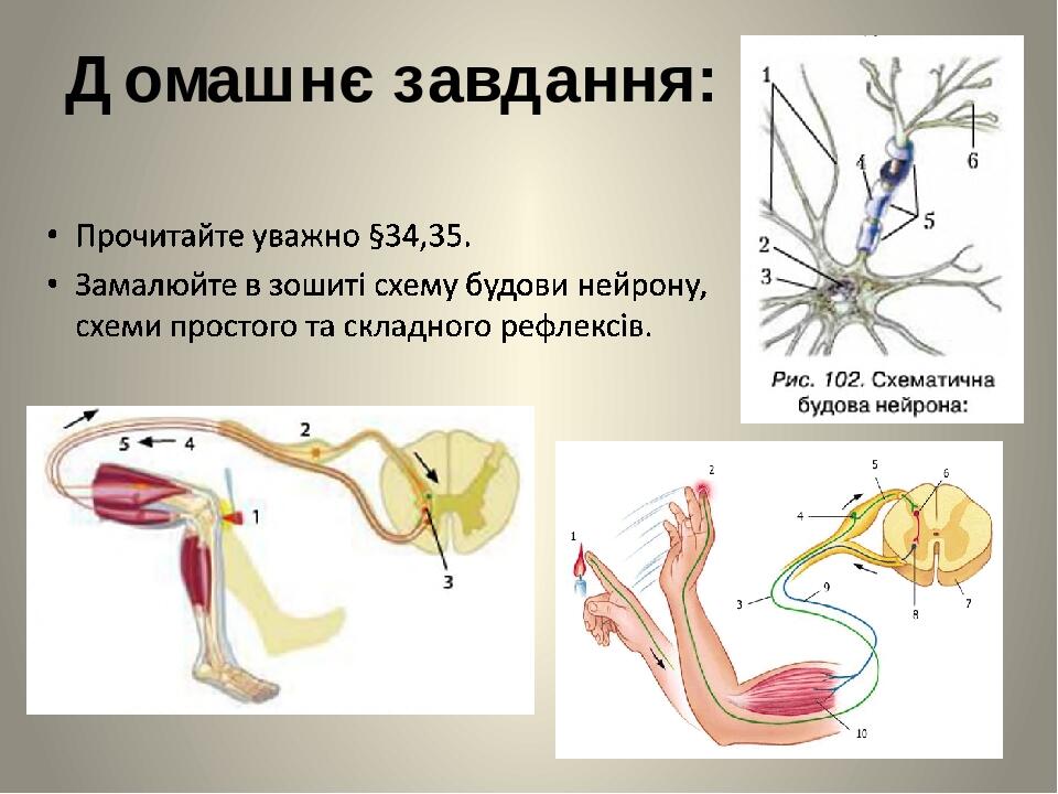 Домашнє завдання: