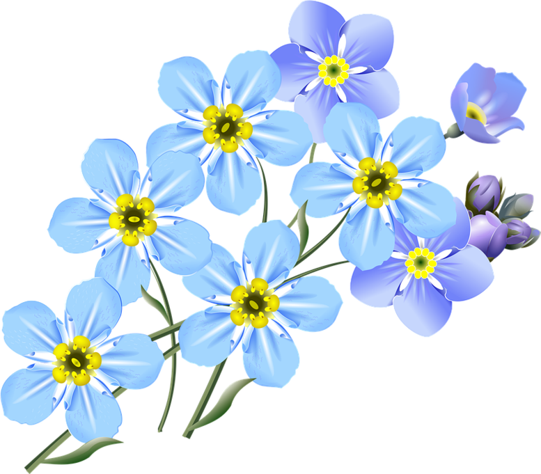 02003k6v-e28d-777x681.png