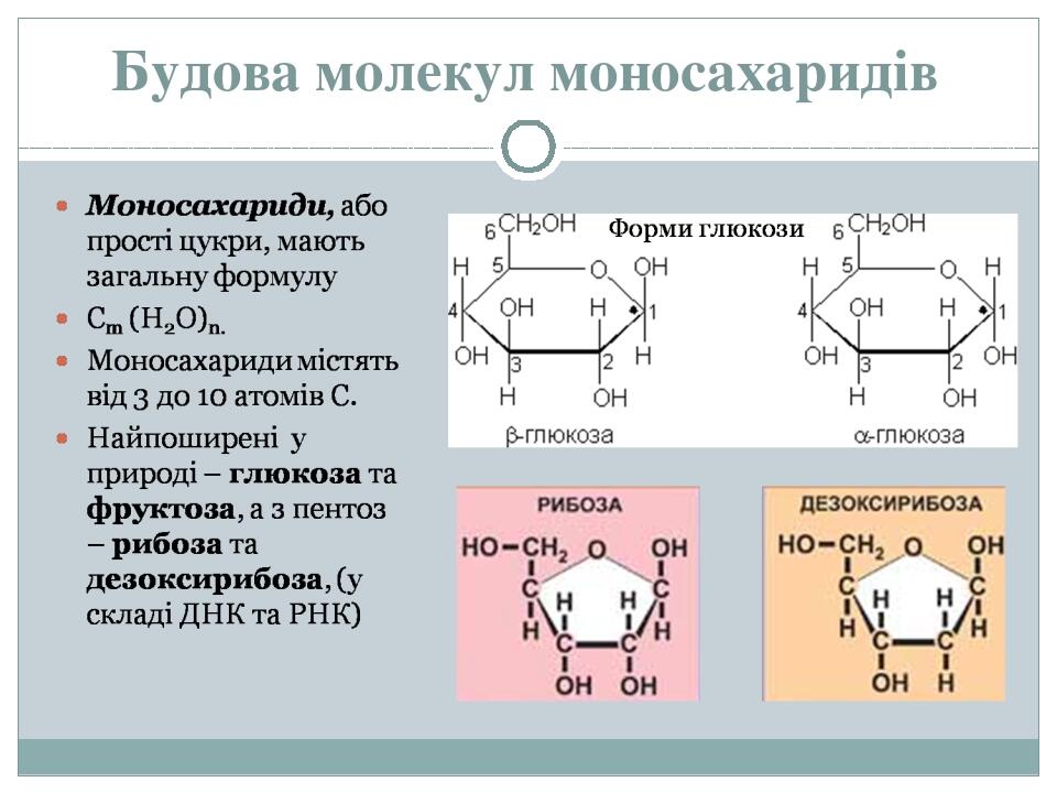 Будова молекул моносахаридів