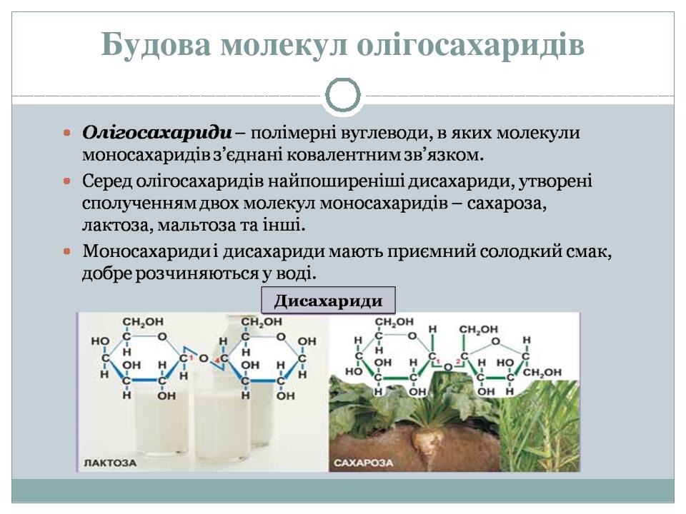 Будова молекул олігосахаридів