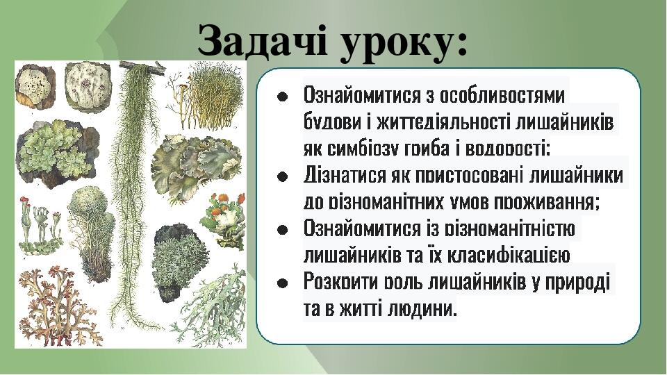 Задачі уроку: