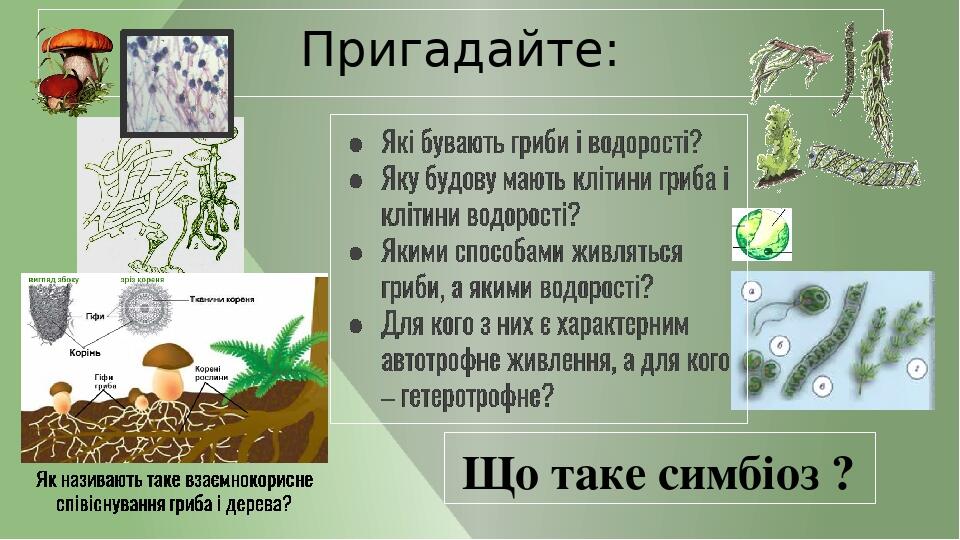 Що таке симбіоз ? Пригадайте: