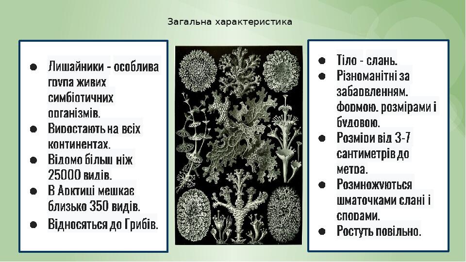 Загальна характеристика
