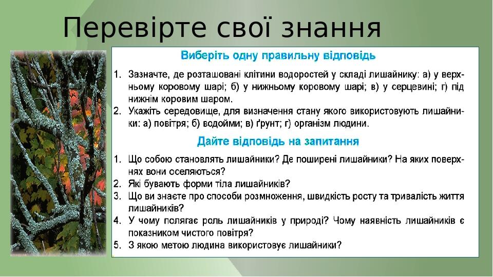 Перевірте свої знання