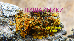 Презентація "Лишайники", до уроку біології у 6 класі