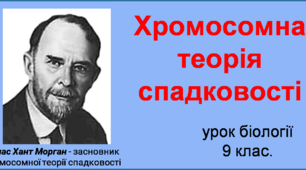 Презентація "Хромосомна теорія спадковості", до уроку біології у 9 класі