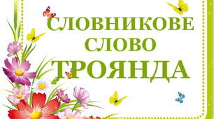 Дидактичний матеріал "Словник "Квіти. Троянда"