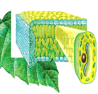 02003ra8-034f-69x66.png