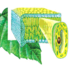 02003ra8-034f-69x66.png