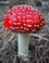 02003rf1-f756-45x58.jpg