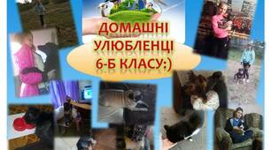 Презентація до виховного заходу  «Ми відповідальні за тих кого приручили»
