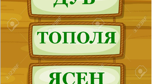 Презентація для уроків української мови "Назви одним словом"