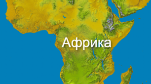 (Копія) Африка. Рослинний і тваринний світ Африки