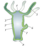 02003vn5-56c5-171x189.jpg