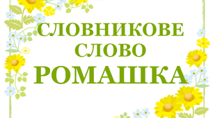 Дидактичний матеріал "Словник "Квіти. Ромашка"
