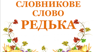 Дидактичний матеріал "Словник "Городина. Редька"
