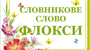 Дидактичний матеріал "Словник "Квіти. Флокси"
