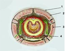 02003xfi-906a-263x203.png
