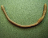 02003xiv-ae30-156x124.png