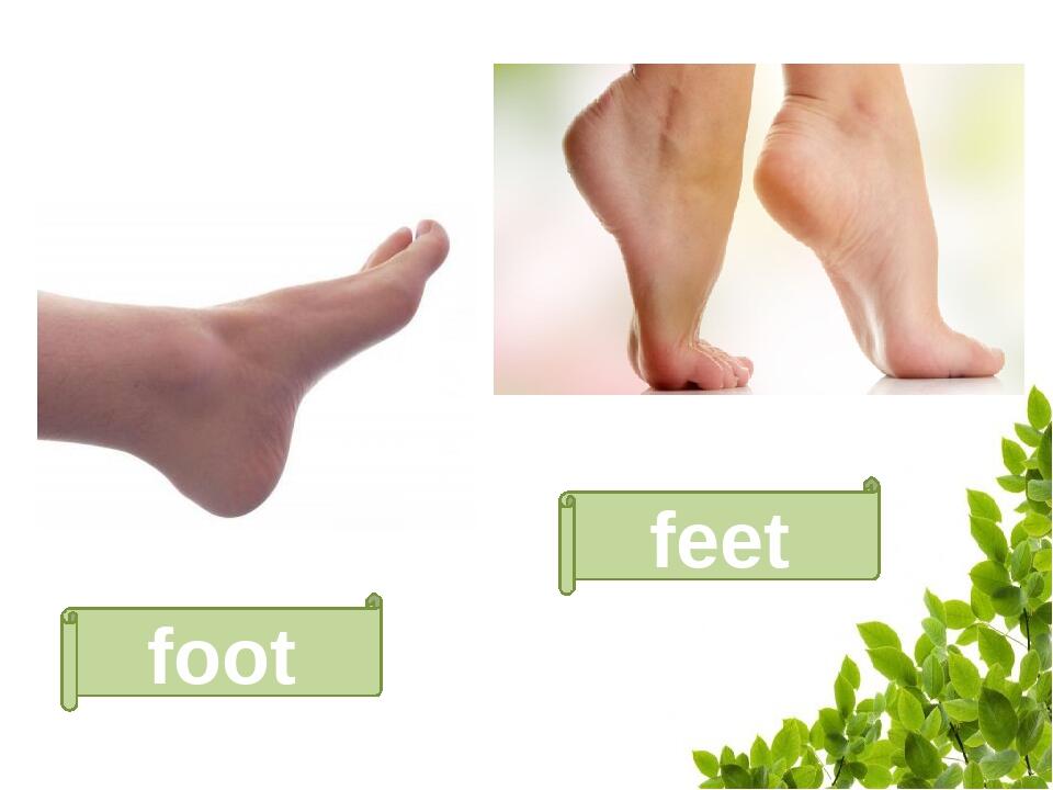 Plural nouns. Множина іменників. Презентація. Англійська мова