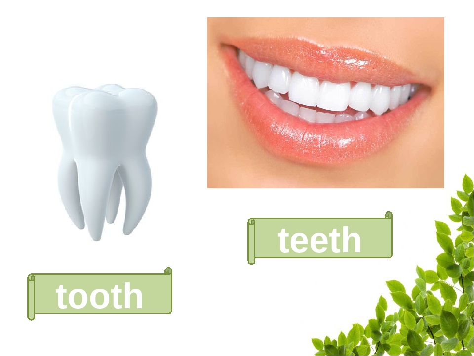 Plural nouns. Множина іменників.