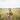 Аватар профіля